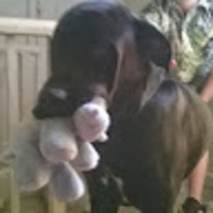 Meet your Posher, Lori